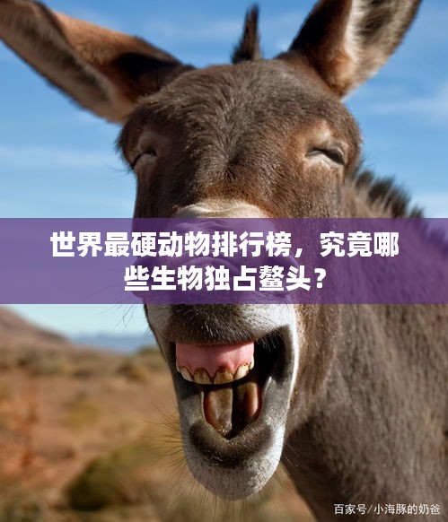 雍容爾雅 第3頁