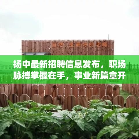 揚中最新招聘信息發布，職場脈搏掌握在手，事業新篇章開啟！