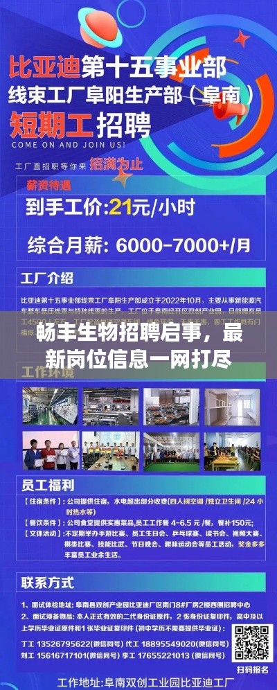 暢豐生物招聘啟事，最新崗位信息一網打盡