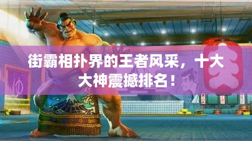 街霸相撲界的王者風(fēng)采，十大大神震撼排名！