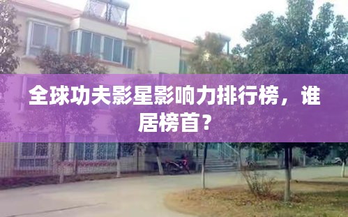 全球功夫影星影響力排行榜，誰居榜首？