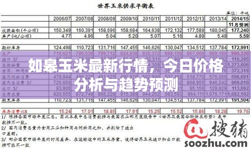 如皋玉米最新行情，今日價格分析與趨勢預測