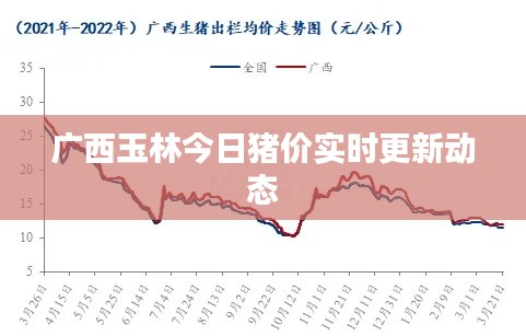 廣西玉林今日豬價實時更新動態