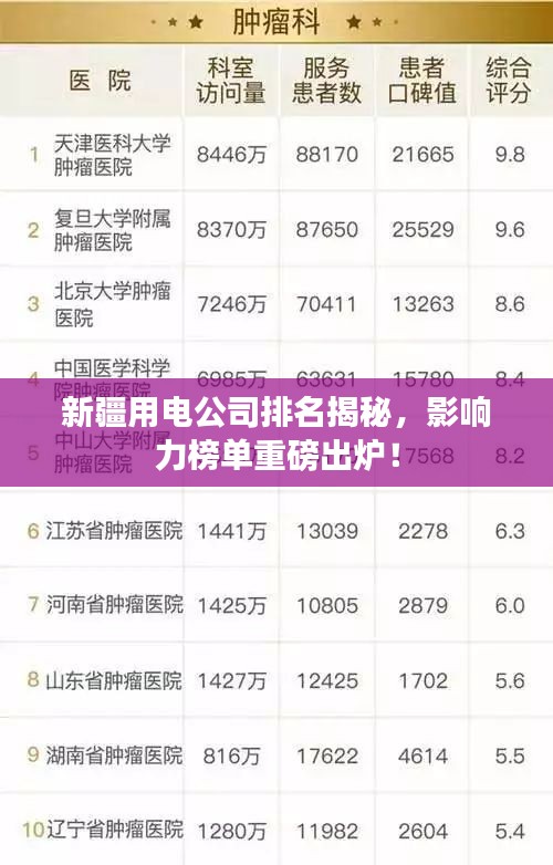 新疆用電公司排名揭秘，影響力榜單重磅出爐！