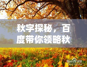 秋字探秘，百度帶你領略秋之魅力