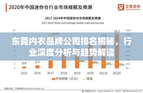 東莞內(nèi)衣品牌公司排名揭秘，行業(yè)深度分析與趨勢解讀