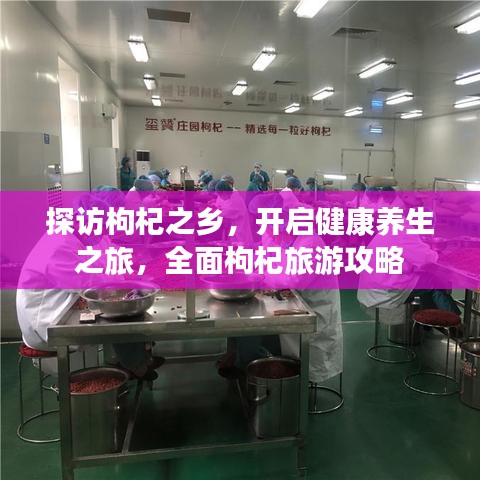 探訪枸杞之鄉，開啟健康養生之旅，全面枸杞旅游攻略