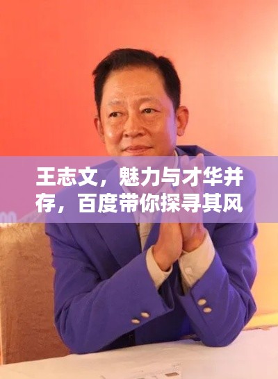 王志文，魅力與才華并存，百度帶你探尋其風(fēng)采