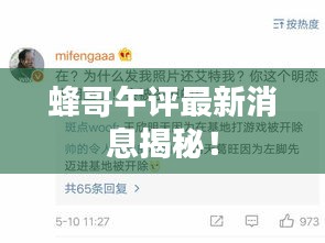 蜂哥午評最新消息揭秘！