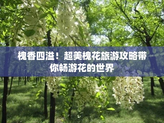 槐香四溢！超美槐花旅游攻略帶你暢游花的世界