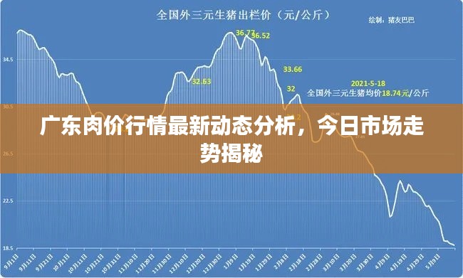 廣東肉價行情最新動態(tài)分析，今日市場走勢揭秘
