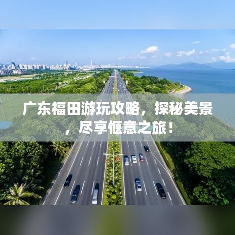 廣東福田游玩攻略，探秘美景，盡享愜意之旅！