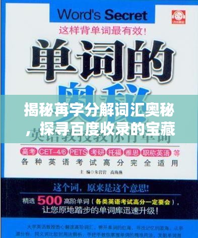 揭秘苒字分解詞匯奧秘，探尋百度收錄的寶藏標題