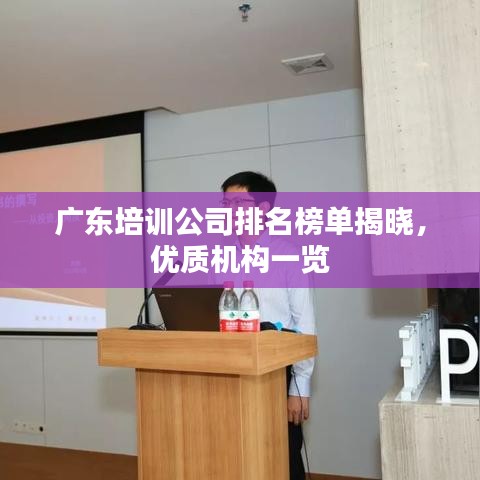 廣東培訓公司排名榜單揭曉，優質機構一覽