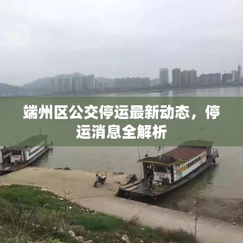 端州區(qū)公交停運最新動態(tài)，停運消息全解析