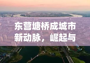 東營塘橋成城市新動脈，崛起與未來展望