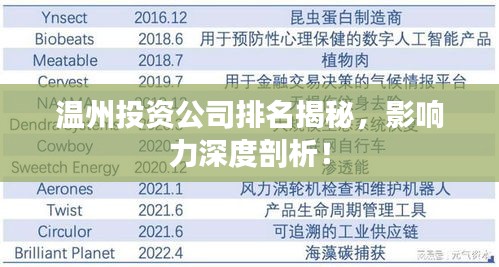 溫州投資公司排名揭秘，影響力深度剖析！