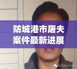 防城港市屠夫案件最新進展曝光，揭秘案件進展細節