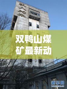 雙鴨山煤礦最新動態，行業頭條一網打盡