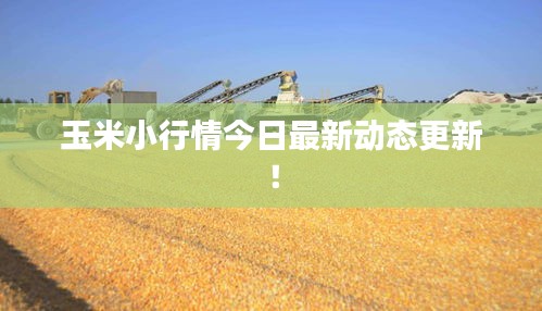 玉米小行情今日最新動態更新！