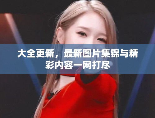 大全更新，最新圖片集錦與精彩內容一網打盡