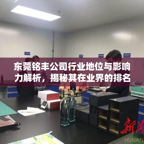 東莞銘豐公司行業地位與影響力解析，揭秘其在業界的排名與影響力
