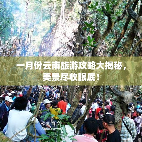 一月份云南旅游攻略大揭秘，美景盡收眼底！