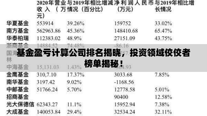 基金盈虧計算公司排名揭曉，投資領域佼佼者榜單揭秘！