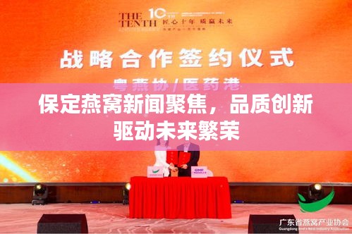 保定燕窩新聞聚焦，品質(zhì)創(chuàng)新驅(qū)動(dòng)未來(lái)繁榮