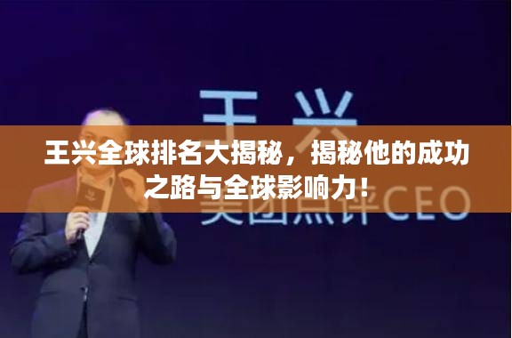 王興全球排名大揭秘，揭秘他的成功之路與全球影響力！