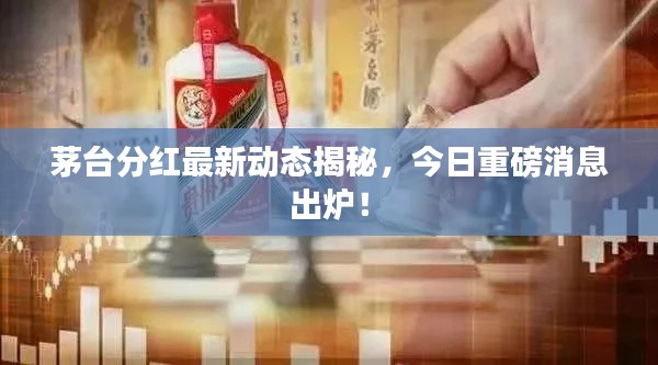 茅臺分紅最新動態揭秘，今日重磅消息出爐！