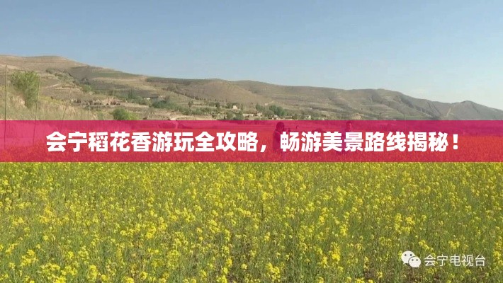 會(huì)寧稻花香游玩全攻略，暢游美景路線揭秘！