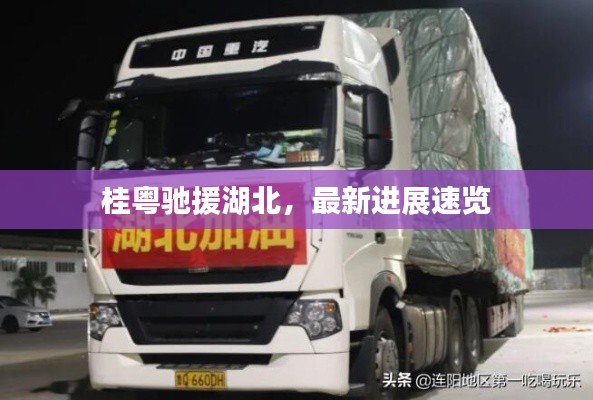 桂粵馳援湖北，最新進展速覽