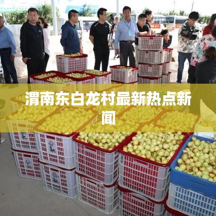 渭南東白龍村最新熱點(diǎn)新聞