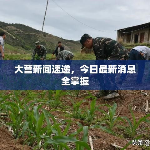 大營新聞速遞，今日最新消息全掌握
