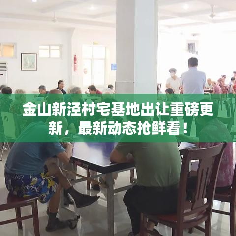 金山新涇村宅基地出讓重磅更新，最新動態(tài)搶鮮看！