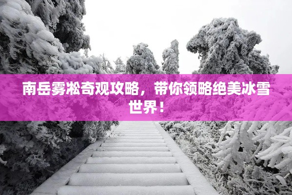 塵土飛揚 第2頁