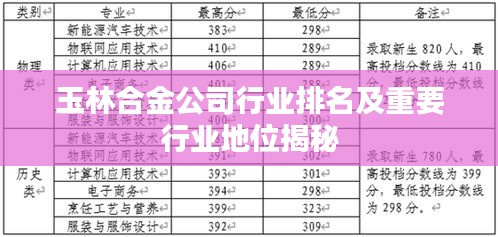 玉林合金公司行業排名及重要行業地位揭秘