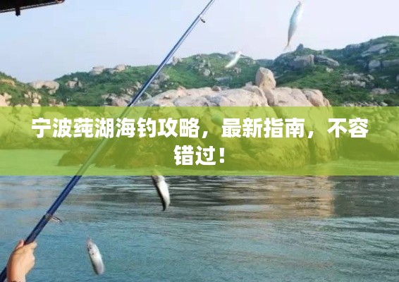 寧波莼湖海釣攻略，最新指南，不容錯過！