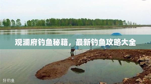 觀瀾府釣魚秘籍，最新釣魚攻略大全
