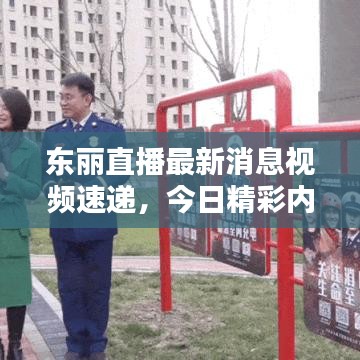 東麗直播最新消息視頻速遞，今日精彩內容搶先看