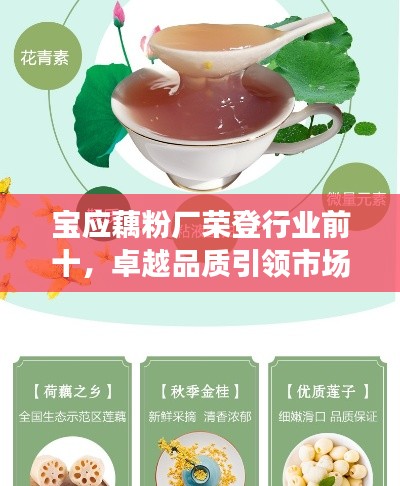 寶應藕粉廠榮登行業前十，卓越品質引領市場新潮流