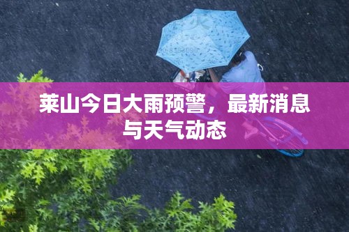 萊山今日大雨預警，最新消息與天氣動態