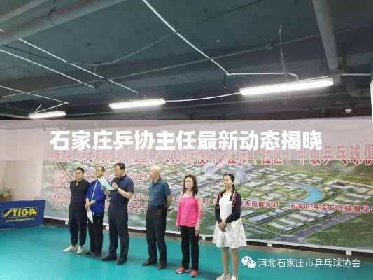 石家莊乒協主任最新動態揭曉