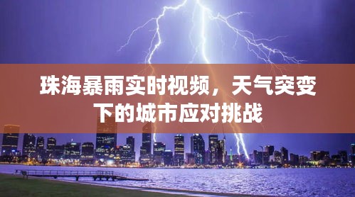 珠海暴雨實時視頻，天氣突變下的城市應對挑戰