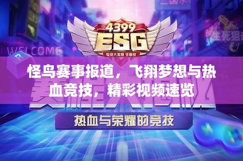 怪鳥賽事報道，飛翔夢想與熱血競技，精彩視頻速覽