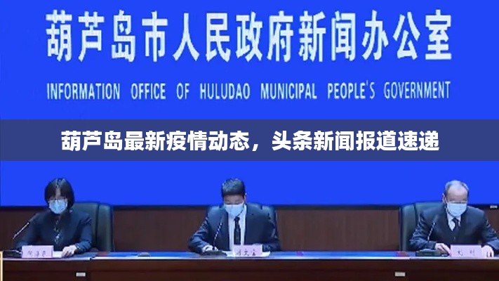 葫蘆島最新疫情動態，頭條新聞報道速遞
