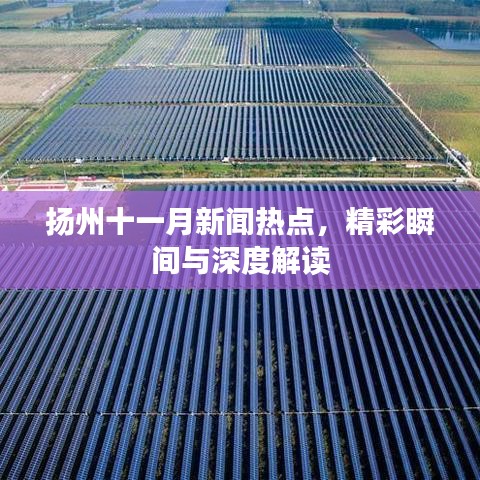 揚州十一月新聞熱點，精彩瞬間與深度解讀