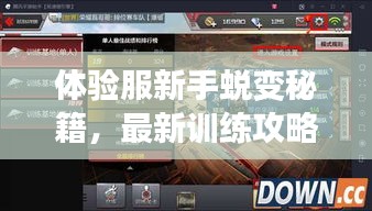 體驗服新手蛻變秘籍，最新訓練攻略，輕松步入游戲高手之路！