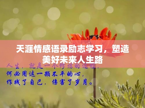 admin 第2頁